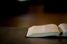 pen between the pages of an open Bible 