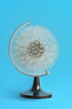 Abstract Earth Globe Dandelion Head and Spring Allergies Concept