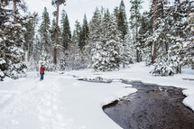 woman taking a picture of a stream lined with snow 