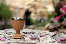 Communion Cup at the Garden Tomb in Israel