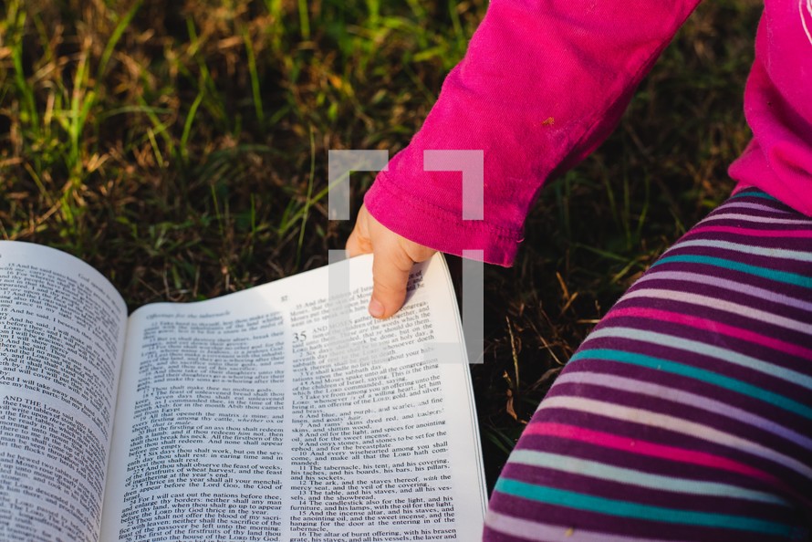 toddler touching an opened Bible in the grass