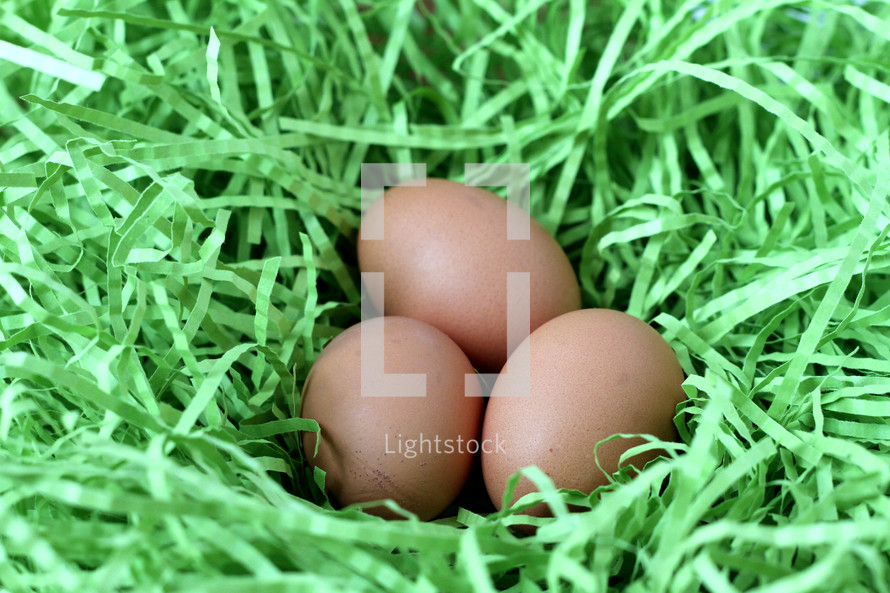 eggs in a nest of decorative grass 