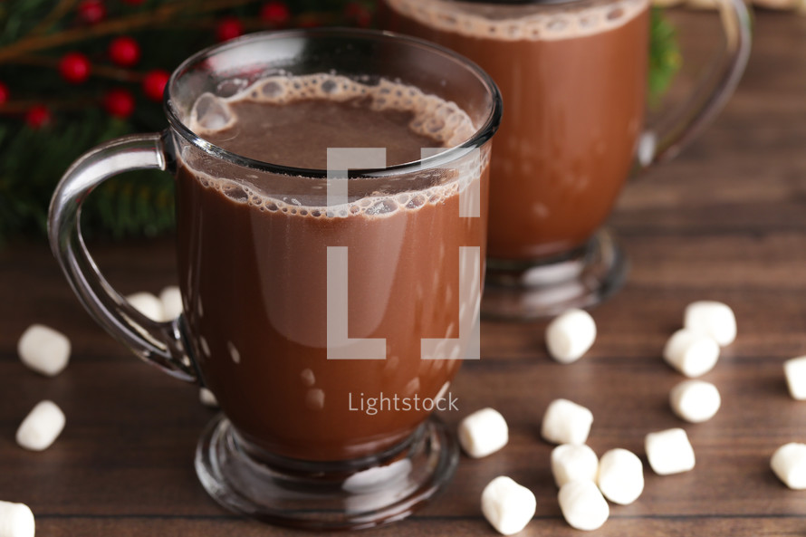 Mug of Hot Chocolate Isolated on a Wood Background