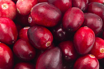 red cranberries 