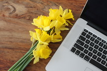 yellow daffodils beside of a laptop computer 