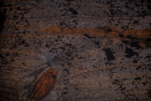 A wood grain texture