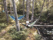hammocks in a forest 