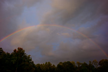 rainbow over trees 