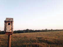 a bird house and open field 