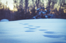 footprints in snow 