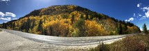 Blue sky and yellow aspen trees on a sunny day in an autumn panorama with curving road in foreground