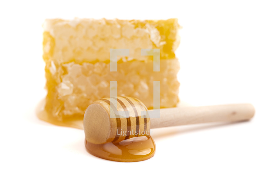 honey and honey comb on a white background 