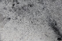 black and white splatter background 