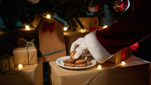 Santa Claus takes biscuits under tree