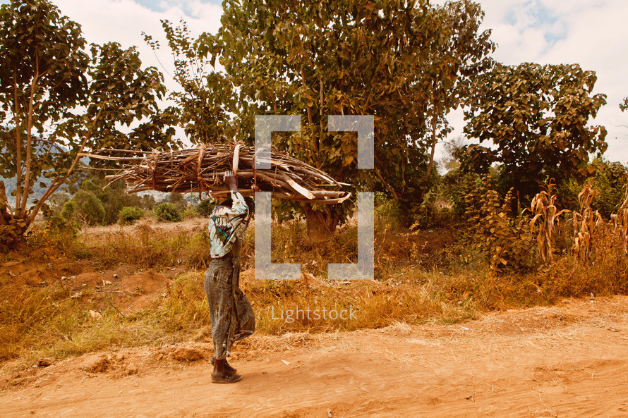 Man carrying a bundle of sticks along a dirt road.