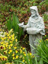 Saint Francis, the Patron Saint known to minister to the Animals. Here is a statue of Saint Francis with birds in a garden. 