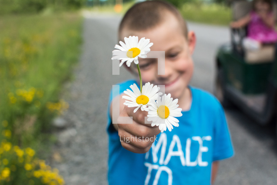 a boy child holding out white daisy flowers 
