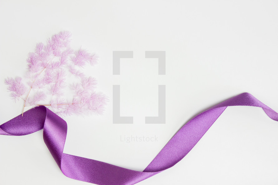 purple flowers and purple ribbon on white 