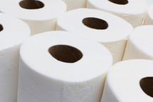 paper towel rolls 
