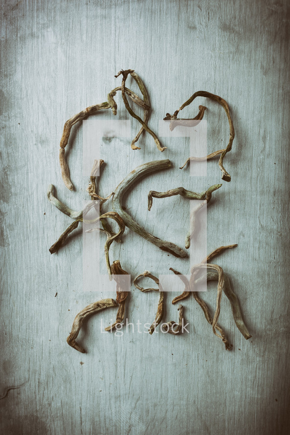 Several dried roots are lying on a rustic wooden background, creating an interesting pattern