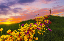 Path of flowers leading to the cross
