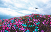 Beautiful flowers with a single cross
