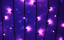 purple glowing LED bulbs 