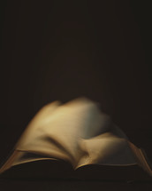 Bokeh image of the Bible with turning pages.