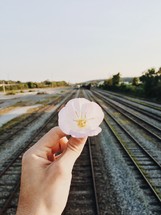 a man holding a flower near railroad tracks 