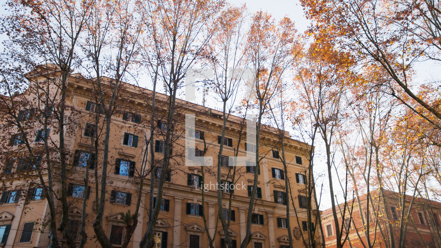 Trees surrounding the cityscape in Rome, Italy 