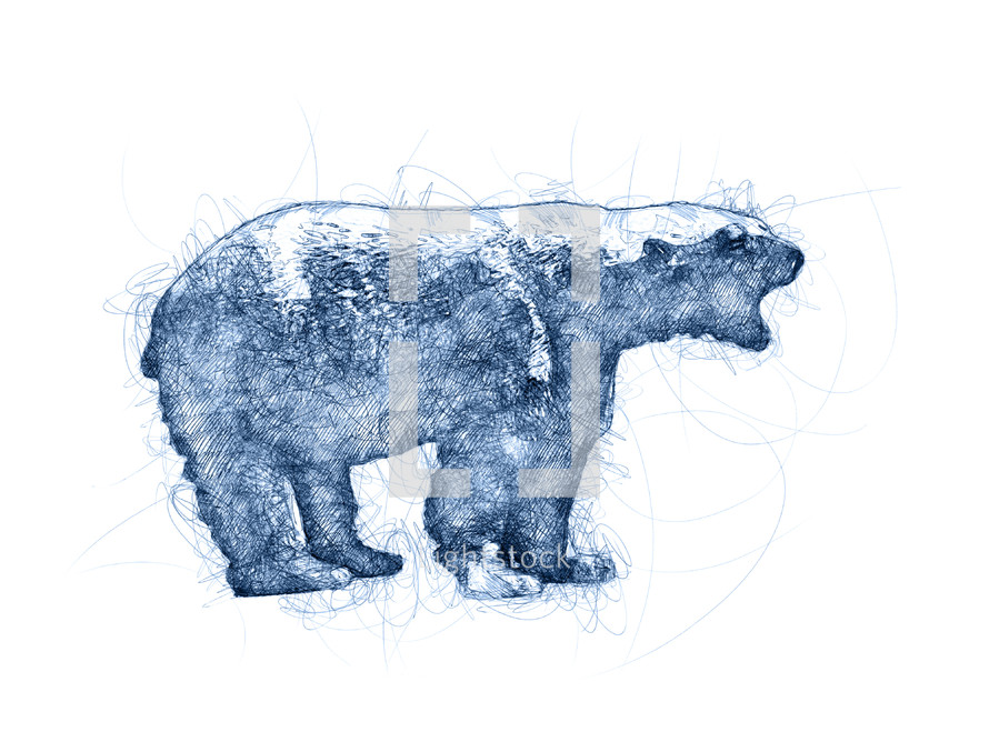 doodle bear 