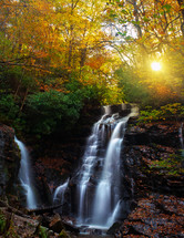 cascading waterfall in a fall forest 