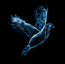 smoke dove