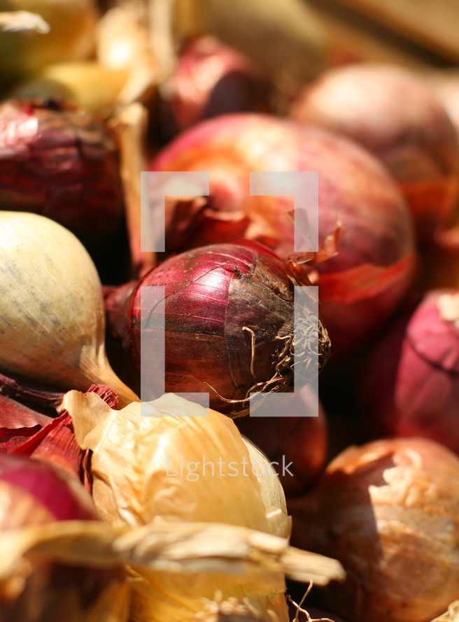 red and yellow bulb onions, food