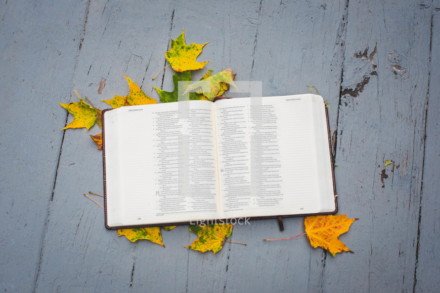 opened Bible on fall leaves 