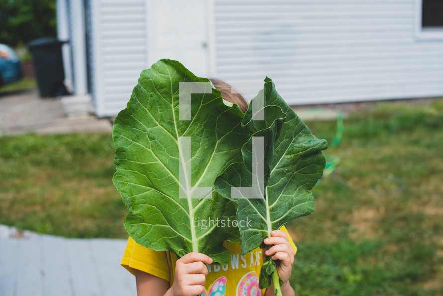 a child holding vegetable leaves 
