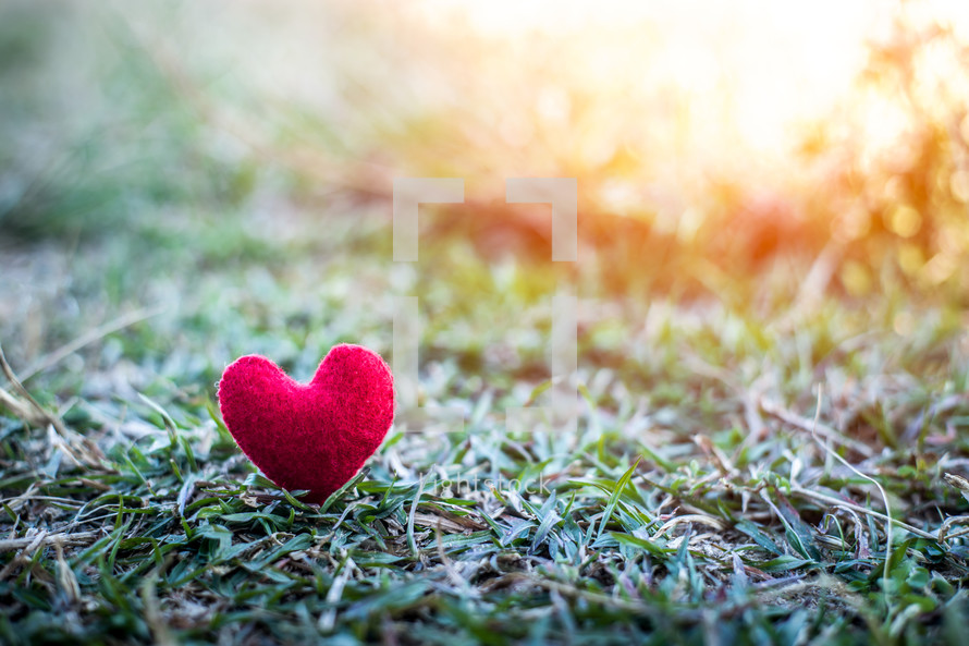 small felt heart on a lawn 