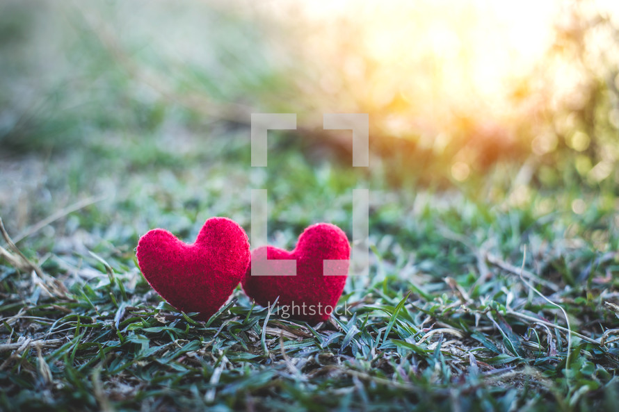 two red felt hearts in a lawn 
