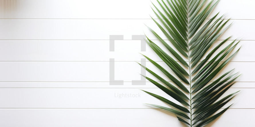 Palm Sunday. Palm leaf on white wooden background. Top view with copy space