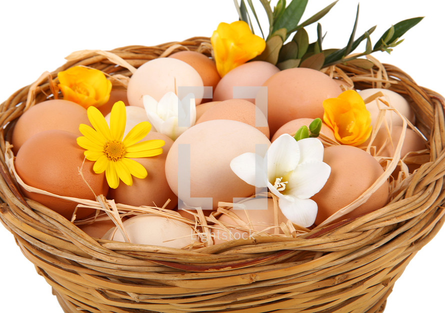 basket of eggs