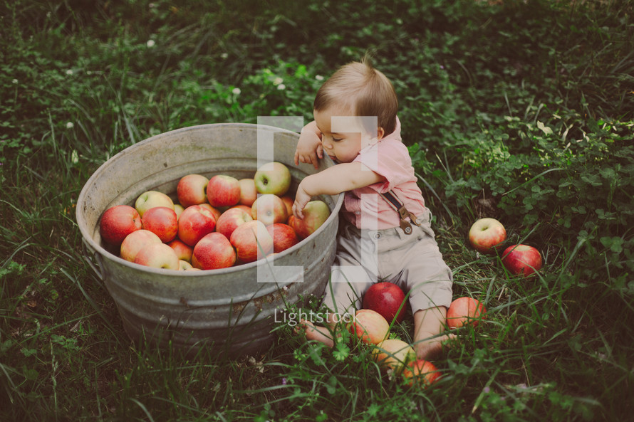 Toddler boy sitting in the grass reaching into a bucket of apples.
