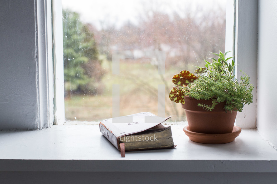 potted plant and Bible in a window 
