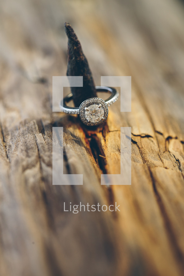 engagement ring on a log 