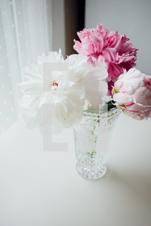 pink and white flowers in a vase 