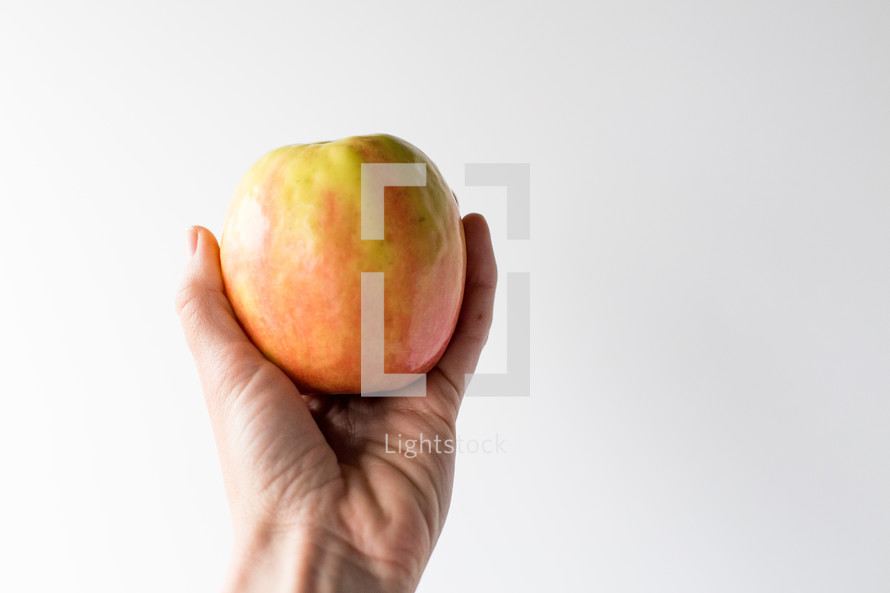 apple on a white background 