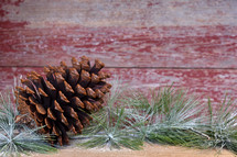 pine cone and greenery 