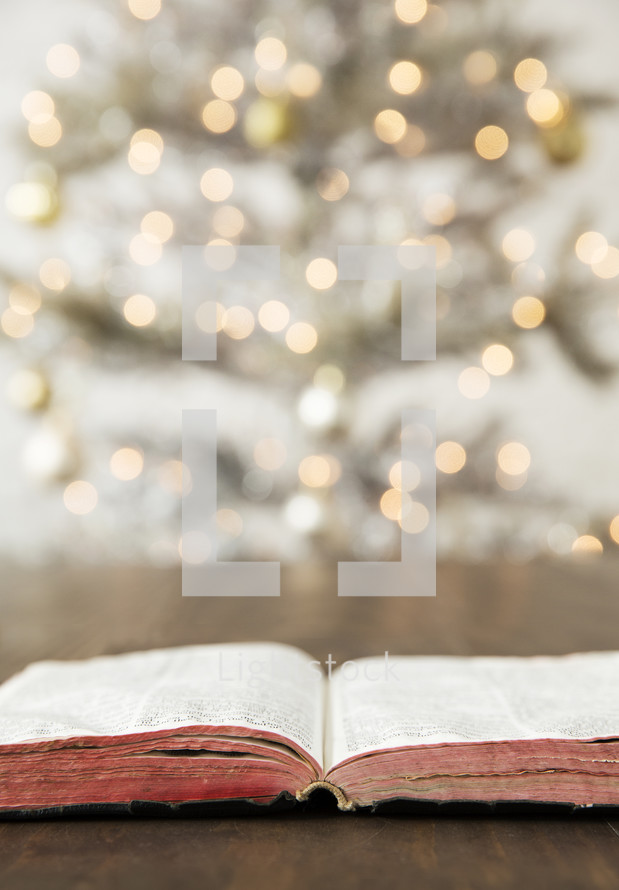 worn open Bible on a wood floor in front of a Christmas tree