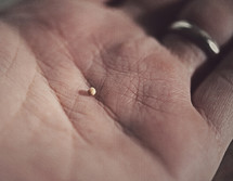 mustard seed in hand 