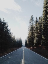 the road ahead 