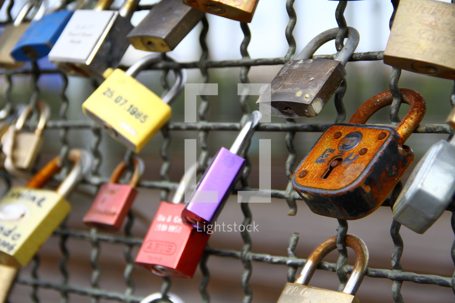 Padlocks on a chainlink fence.